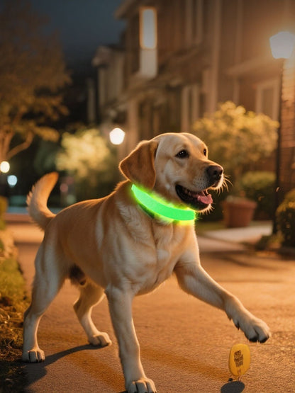LED glowing pet collar for night safety, rechargeable light-up collar for dogs and cats