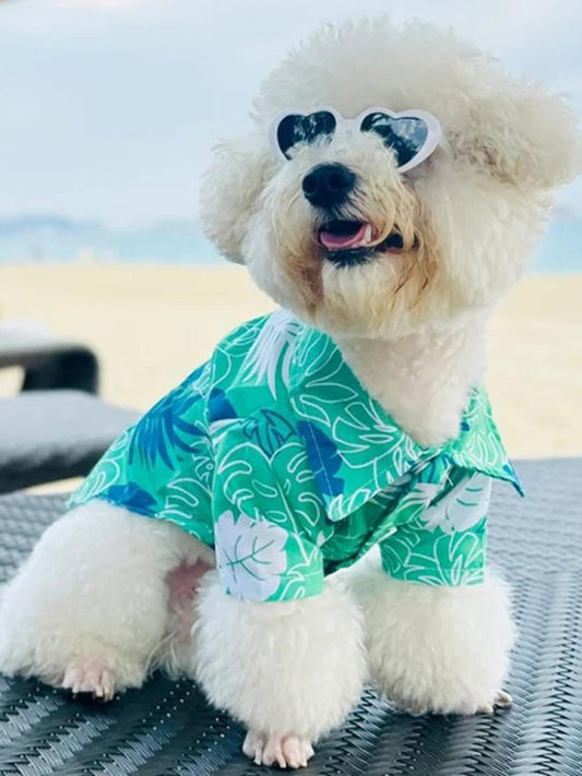 Lightweight everyday pet top, casual breathable shirt for dogs and cats