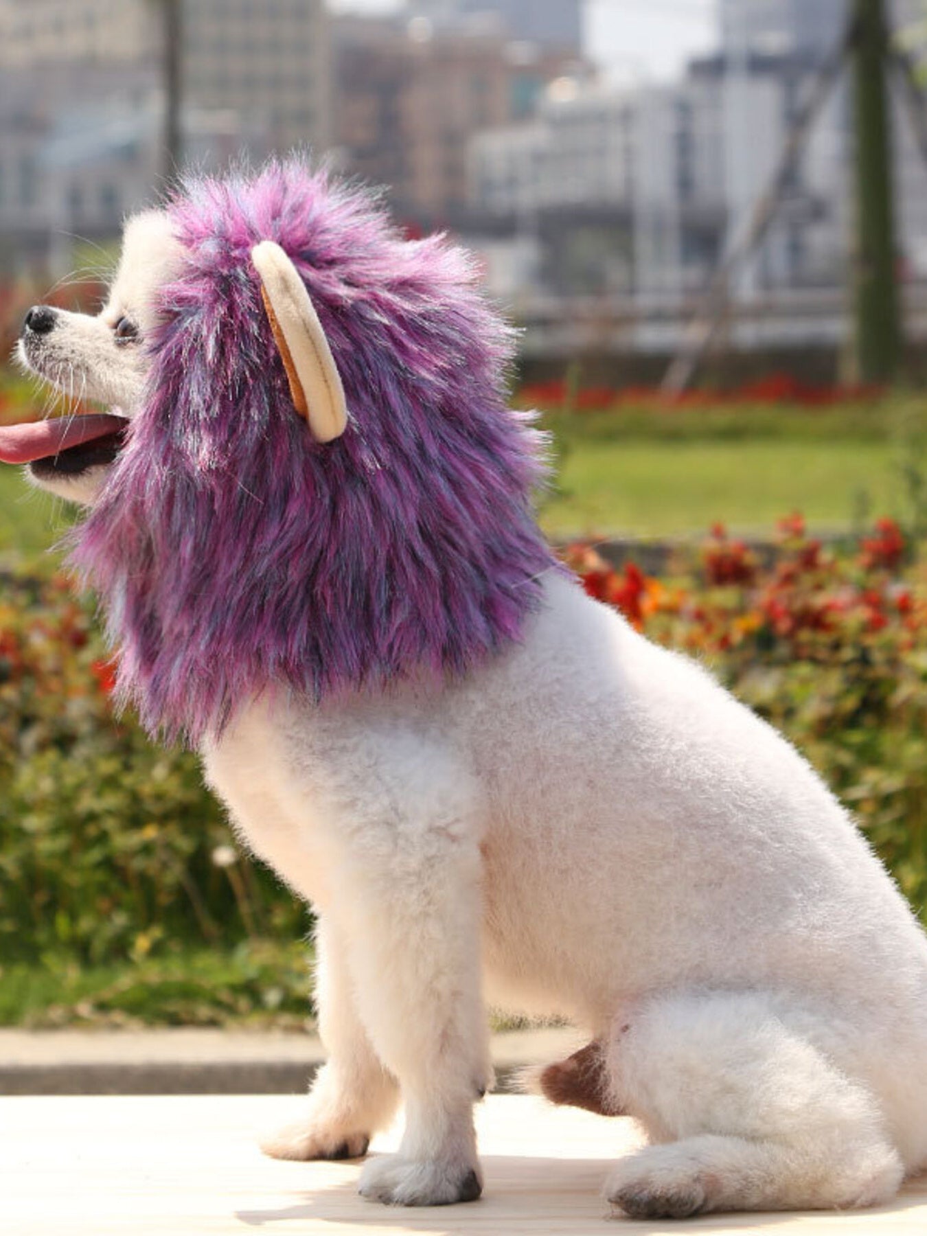 Lion Mane Pet Costume Hood – Soft Polyester Headwear for Dogs & Cats, S–L – view 10