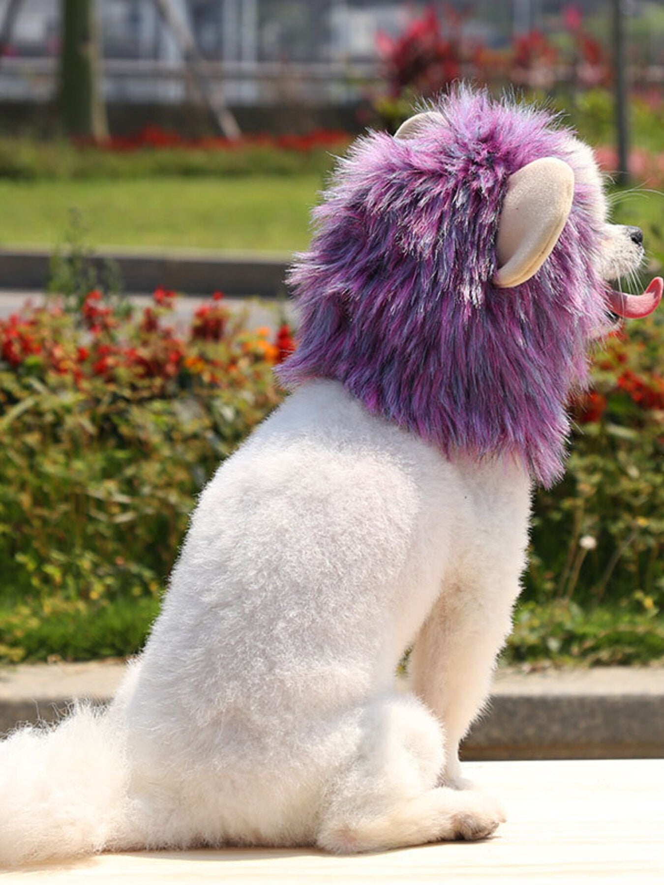 Lion Mane Pet Costume Hood – Soft Polyester Headwear for Dogs & Cats, S–L – view 11
