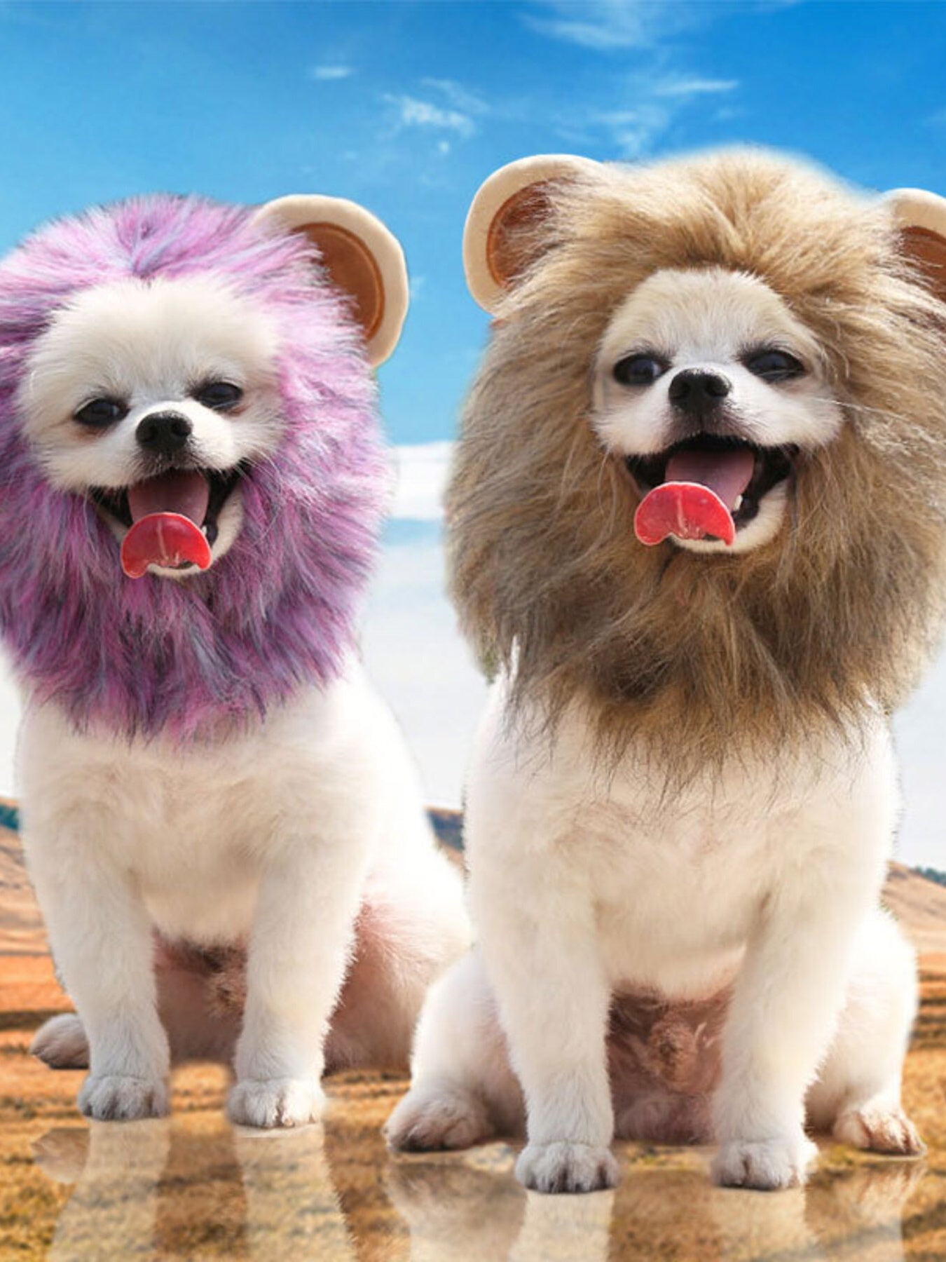 Lion Mane Pet Costume Hood – Soft Polyester Headwear for Dogs & Cats, S–L – view 13