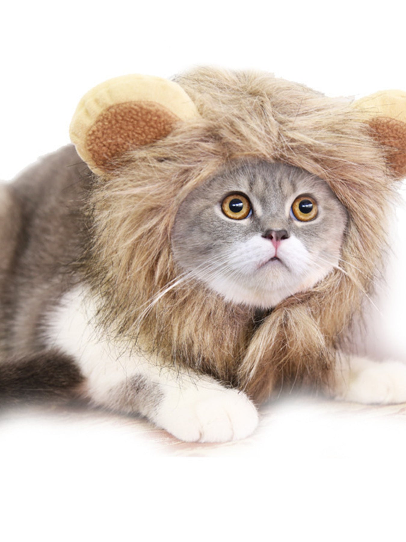 Lion Mane Pet Costume Hood – Soft Polyester Headwear for Dogs & Cats, S–L – view 6