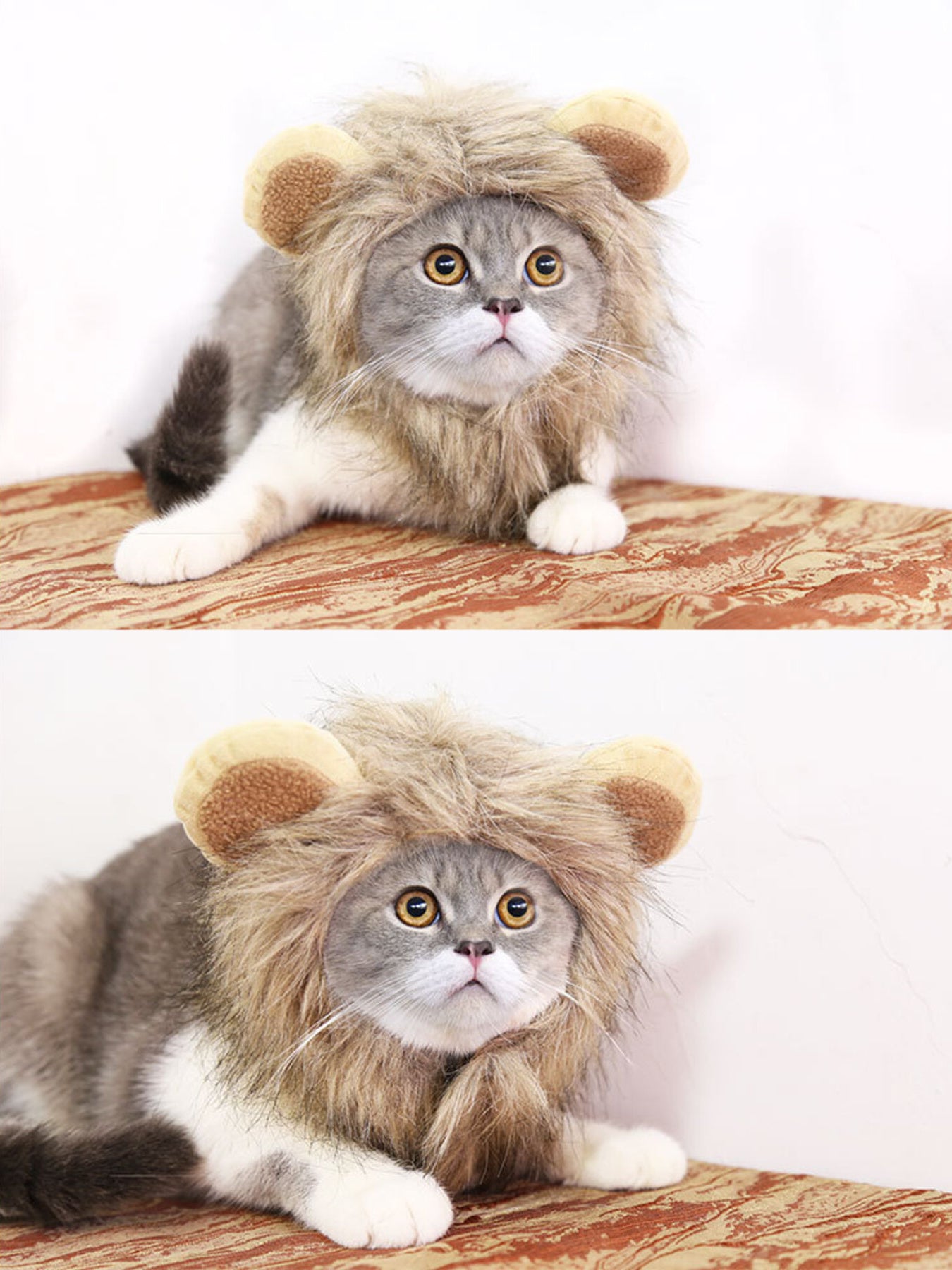 Lion Mane Pet Costume Hood – Soft Polyester Headwear for Dogs & Cats, S–L – view 8