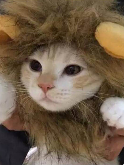 Lion Mane Pet Headwear – Novelty Costume Hood for Dogs & Cats – view 3