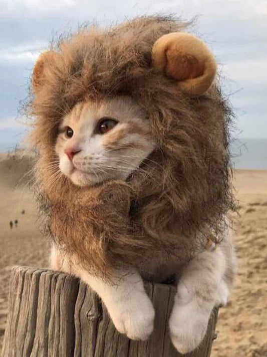 Lion mane pet headwear, novelty costume hood for dogs and cats