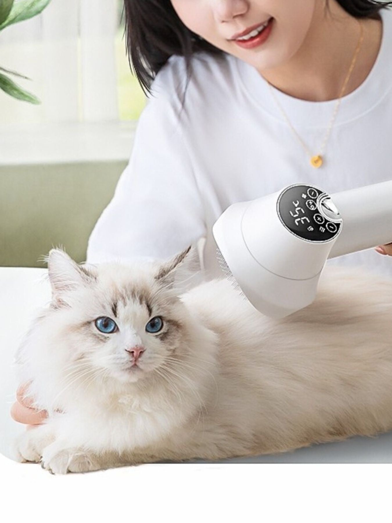 Low Noise Electric Pet Hair Dryer with Grooming Comb – view 3