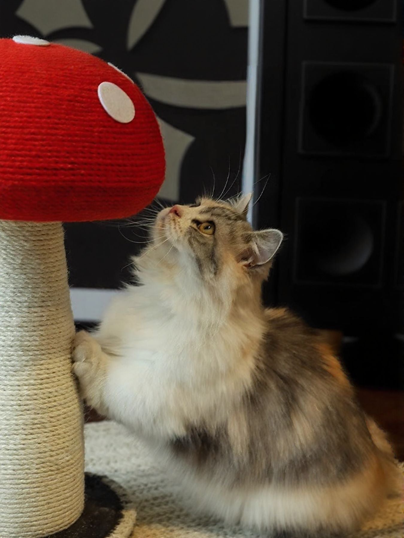 Mushroom-Shaped Hemp Sisal Cat Scratching Post – Novelty Scratcher for Cats – view 4