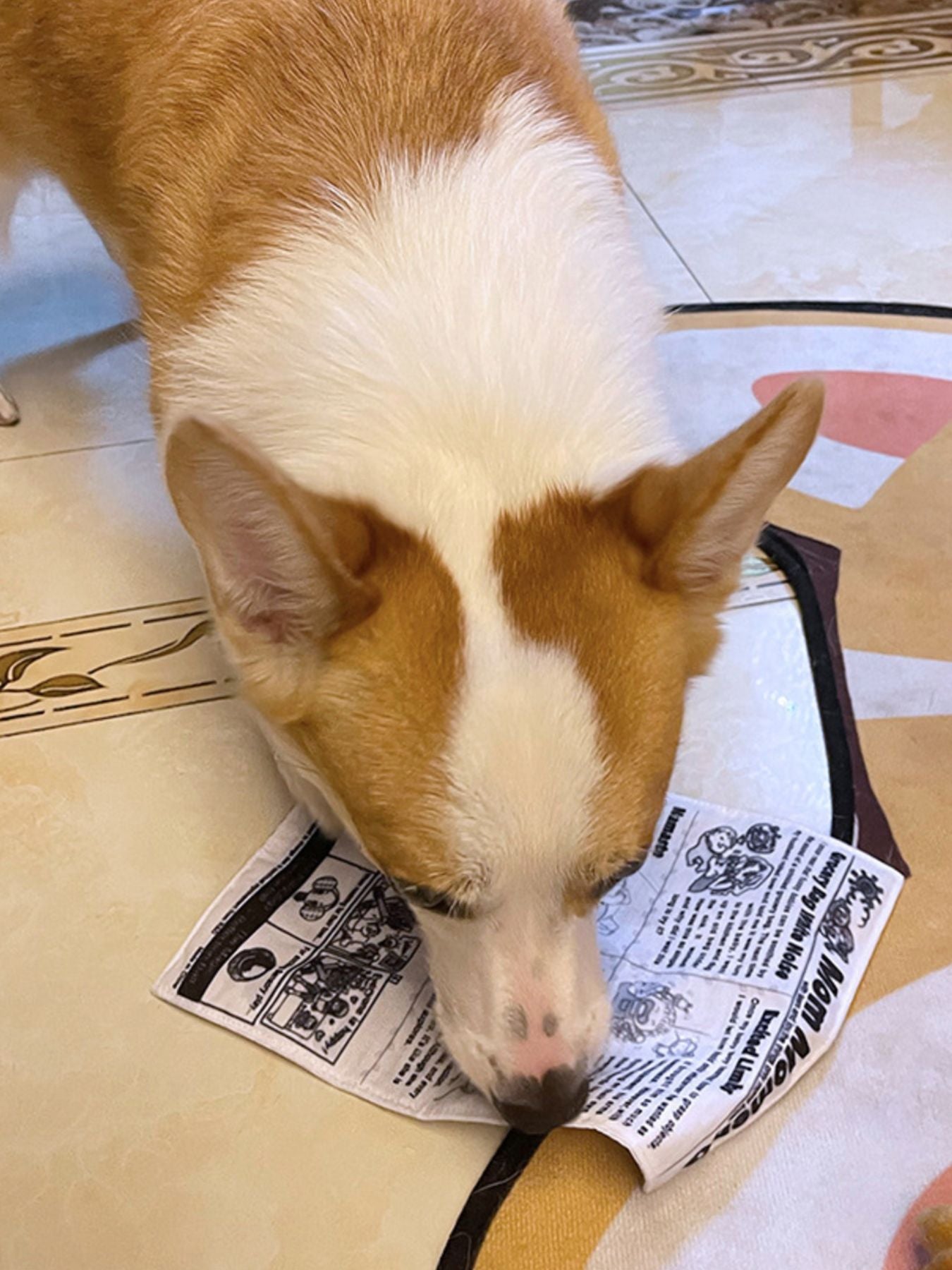 Newspaper Style Squeaky Polyester Pet Sound Toy – Crinkle Toy for Dogs & Cats – view 4