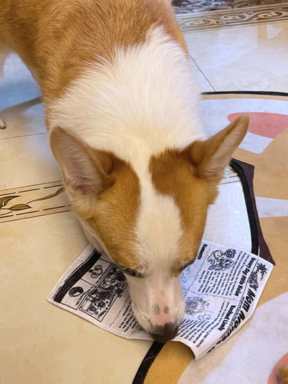Newspaper Style Squeaky Polyester Pet Sound Toy – Crinkle Toy for Dogs & Cats – view 4