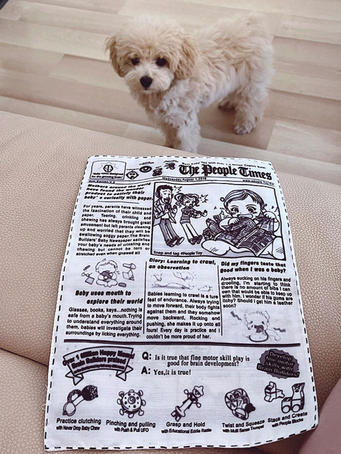 Newspaper Style Squeaky Polyester Pet Sound Toy – Crinkle Toy for Dogs & Cats – view 5