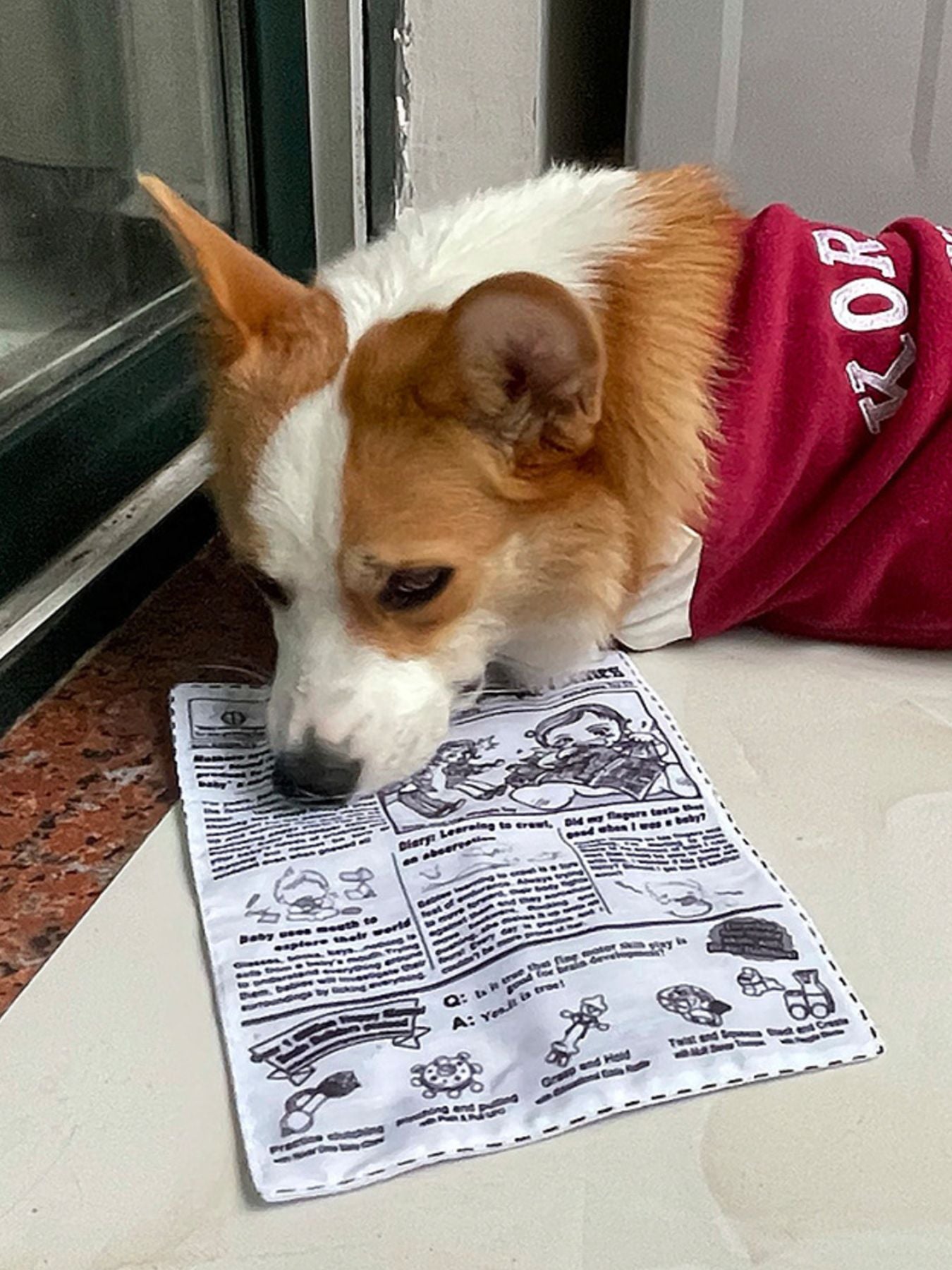 Newspaper style squeaky crinkle pet sound toy for dogs and cats