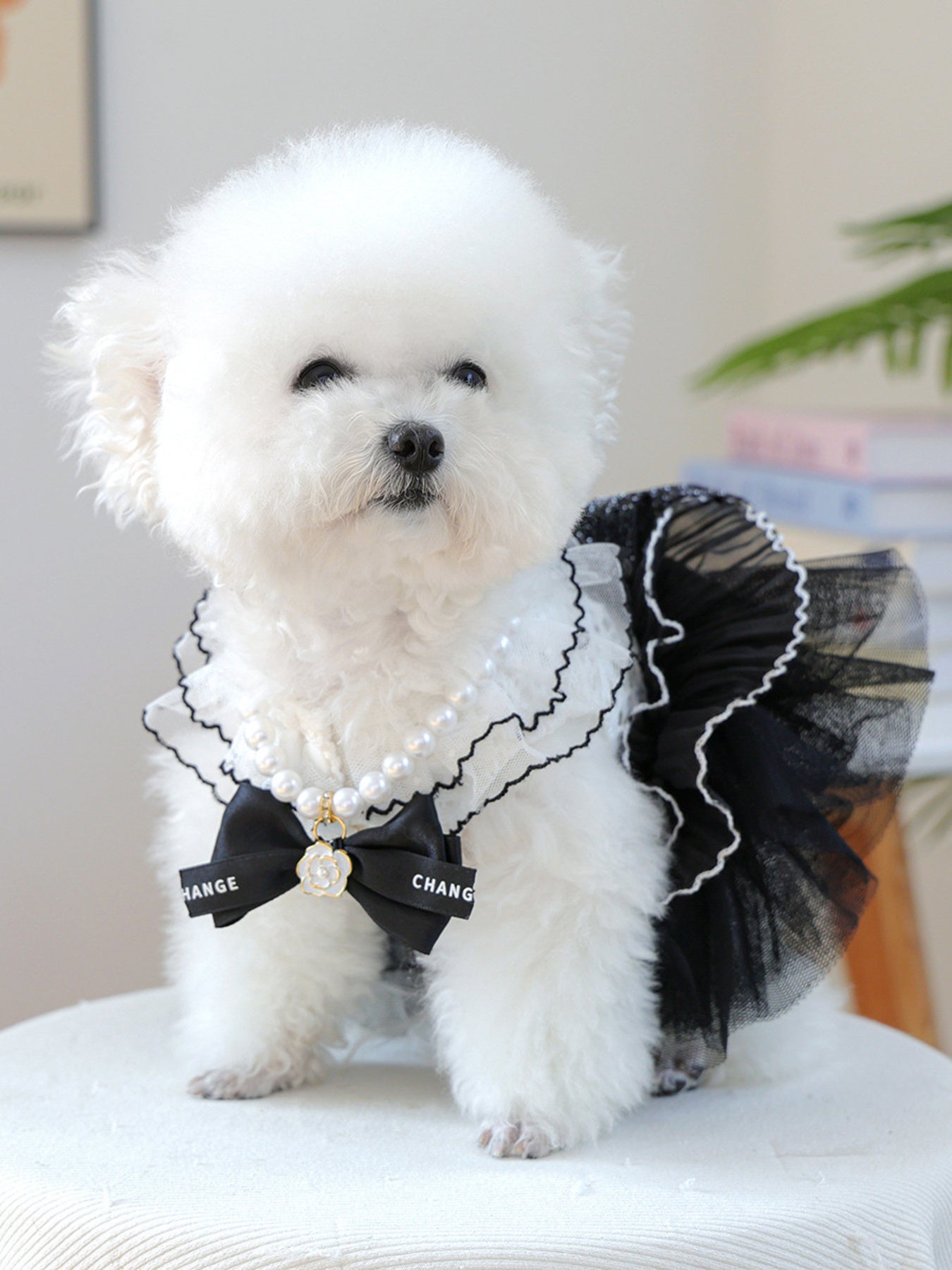 Pearl Bow-Knot Pet Necklace – Elegant Jewelry Accessory for Dogs & Cats – view 12