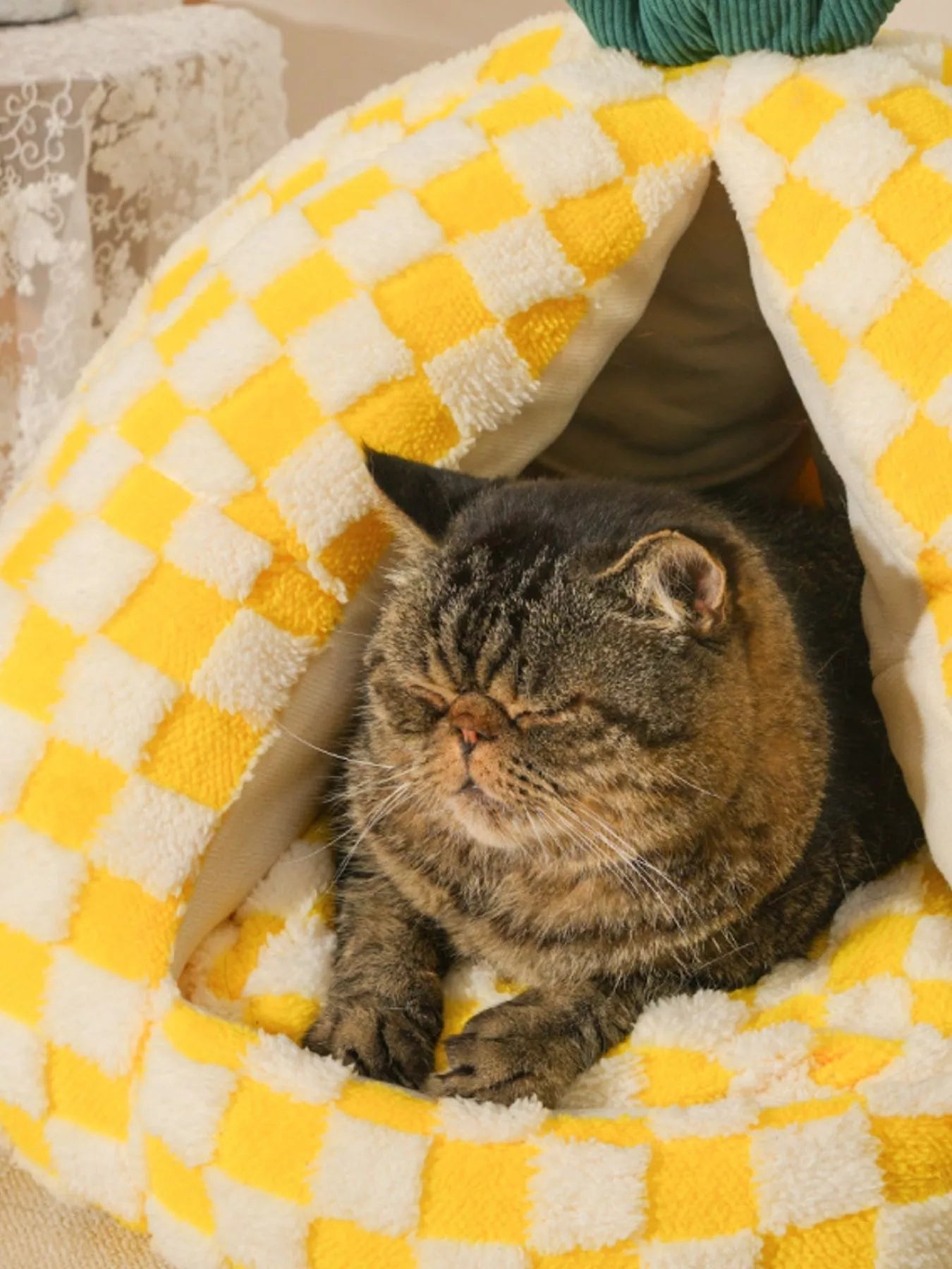 Pineapple Shaped Foldable Cozy Pet Nest Bed – view 7