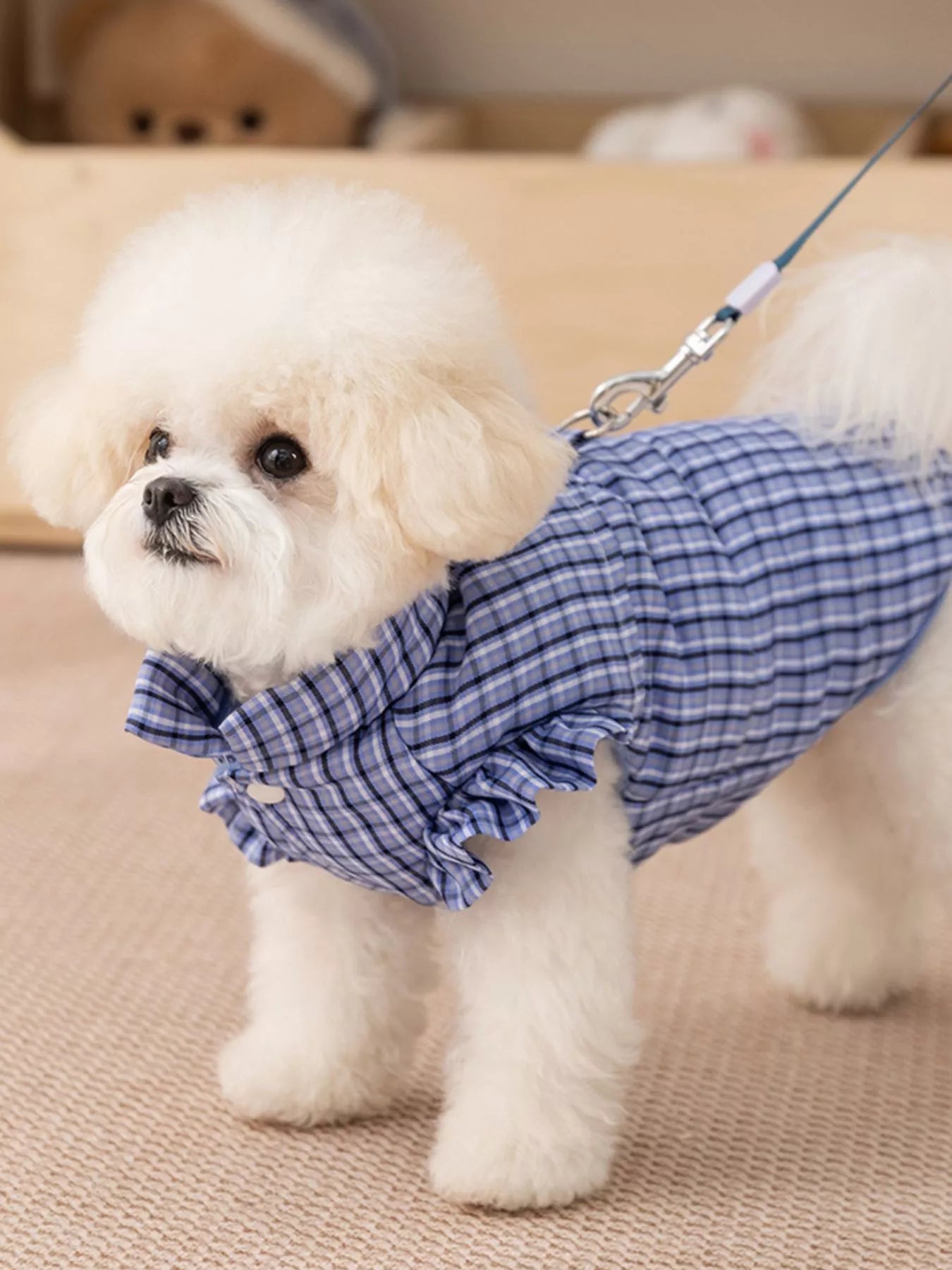 Plaid Ruffle Trim Pet Jacket – Buttoned Pocketed Coat for Dogs & Cats – view 2