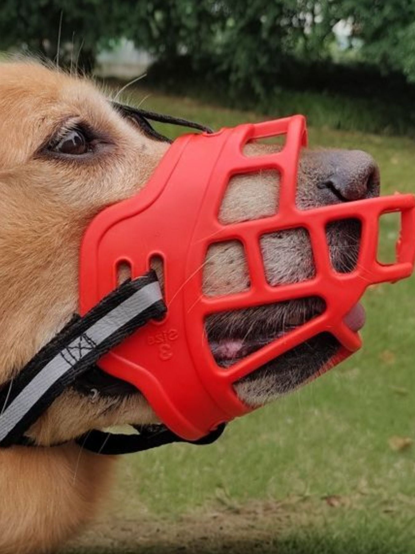Plastic Anti-Bite Pet Muzzle – Lightweight Safety Muzzle for Dogs & Cats in 7 Sizes – view 5