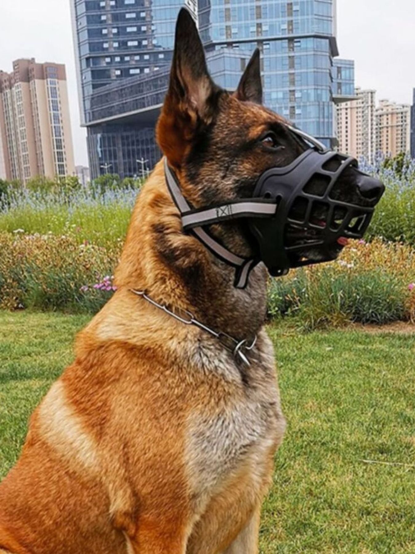 Lightweight plastic pet muzzle, anti-bite safety muzzle for dogs and cats in seven sizes
