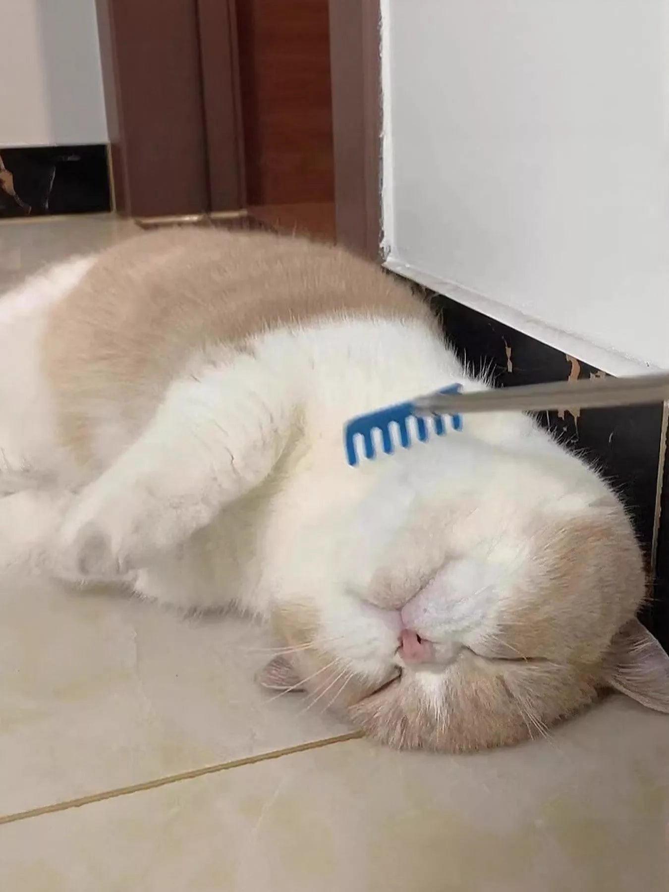 Plastic pet grooming comb with wide and fine teeth for detangling dogs and cats