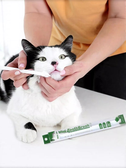 Plastic Pet Toothbrush for Dogs and Cats – view 4