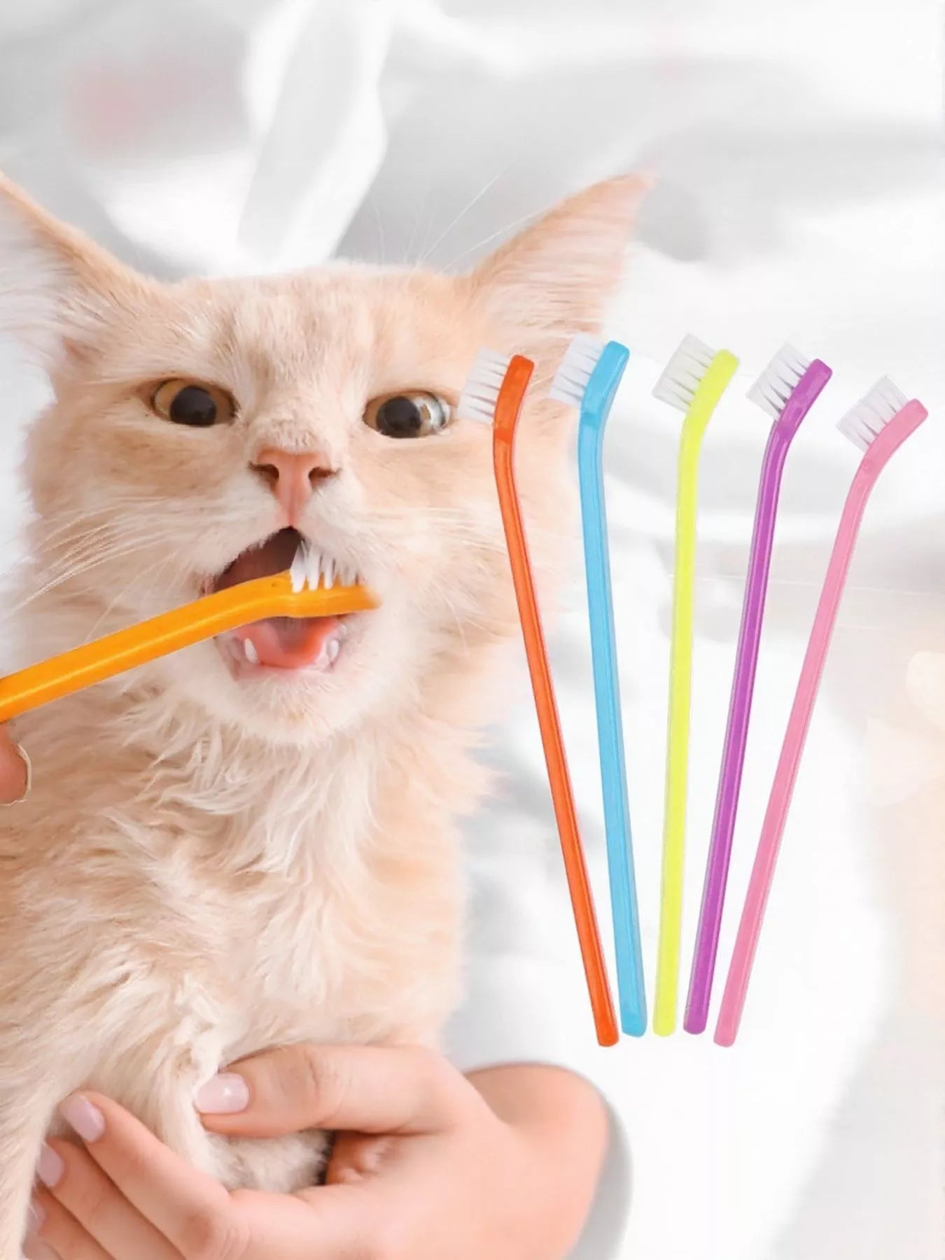 Plastic pet toothbrush for dogs and cats