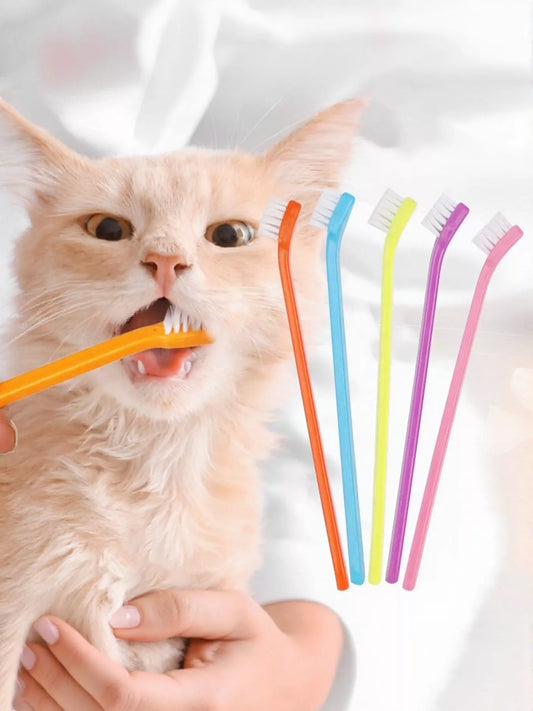 Plastic pet toothbrush for dogs and cats