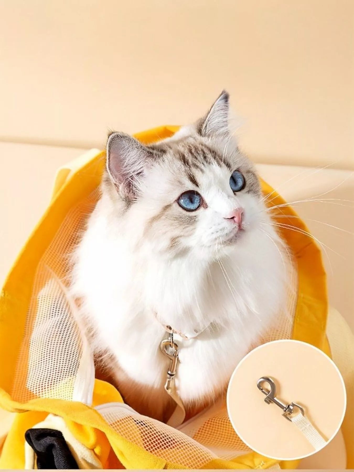 Portable Breathable Canvas Pet Carrier Bag – Travel Tote for Dogs & Cats, M–L – view 6