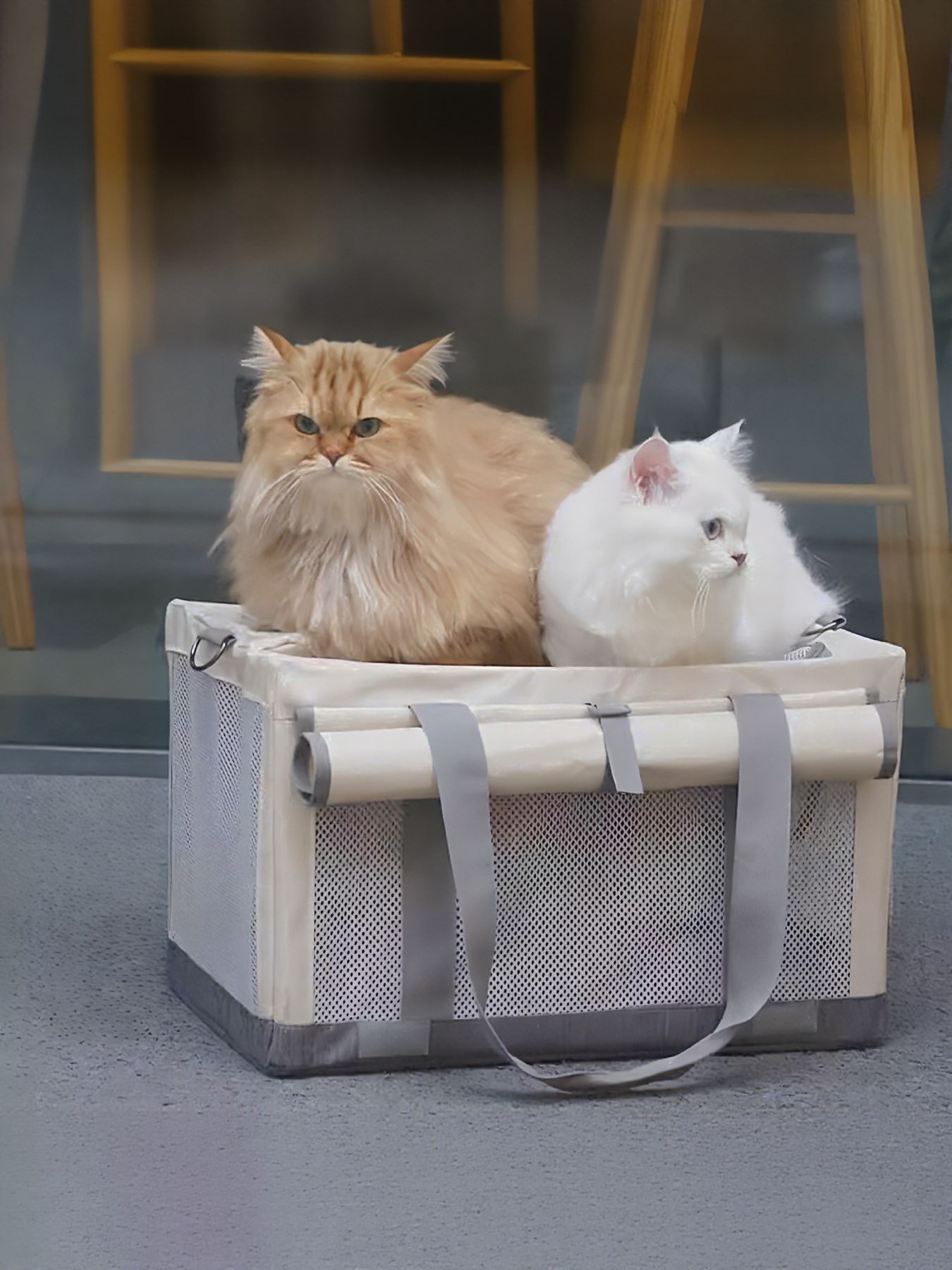 Portable Breathable Polyester Pet Carrier Bag – Medium Travel Bag for Dogs & Cats – view 2