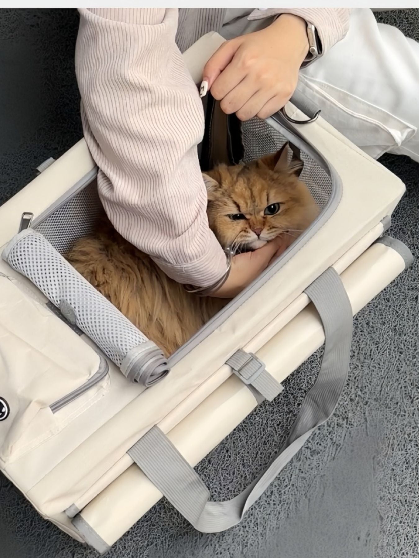 Portable Breathable Polyester Pet Carrier Bag – Medium Travel Bag for Dogs & Cats – view 4