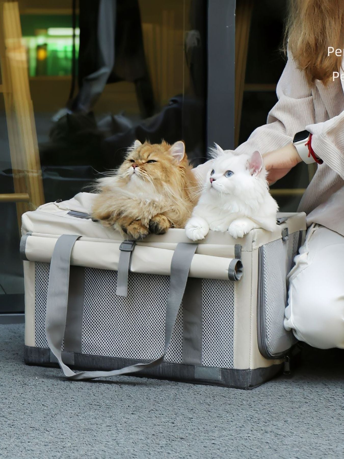 Portable breathable polyester pet carrier travel bag for dogs and cats