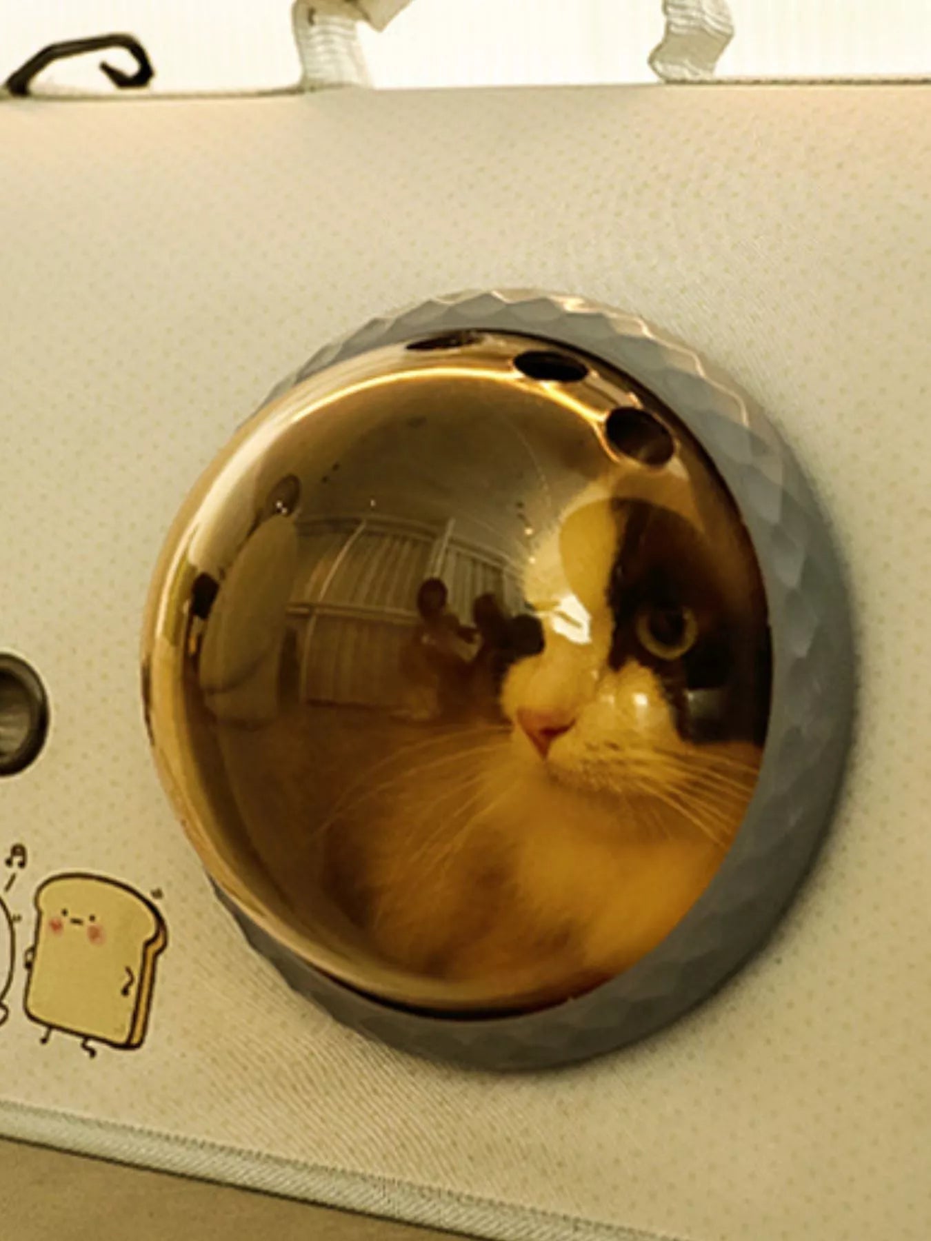 Portable Bubble Window Pet Carrier Bag – Medium Transparent View Bag for Cats & Dogs – view 4