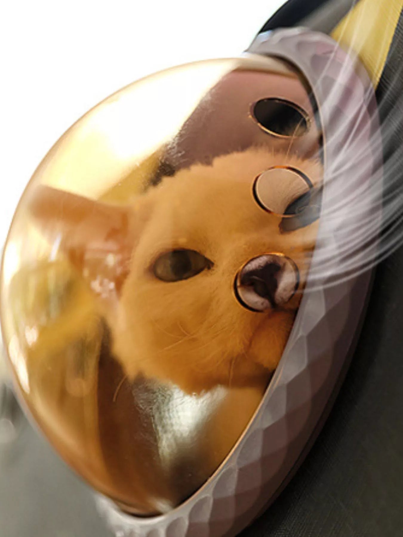 Portable Bubble Window Pet Carrier Bag – Medium Transparent View Bag for Cats & Dogs – view 7