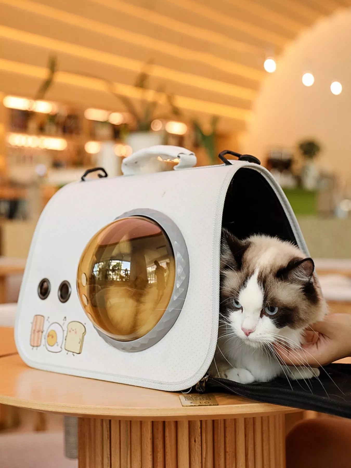 Portable bubble window transparent pet carrier travel bag for cats and dogs