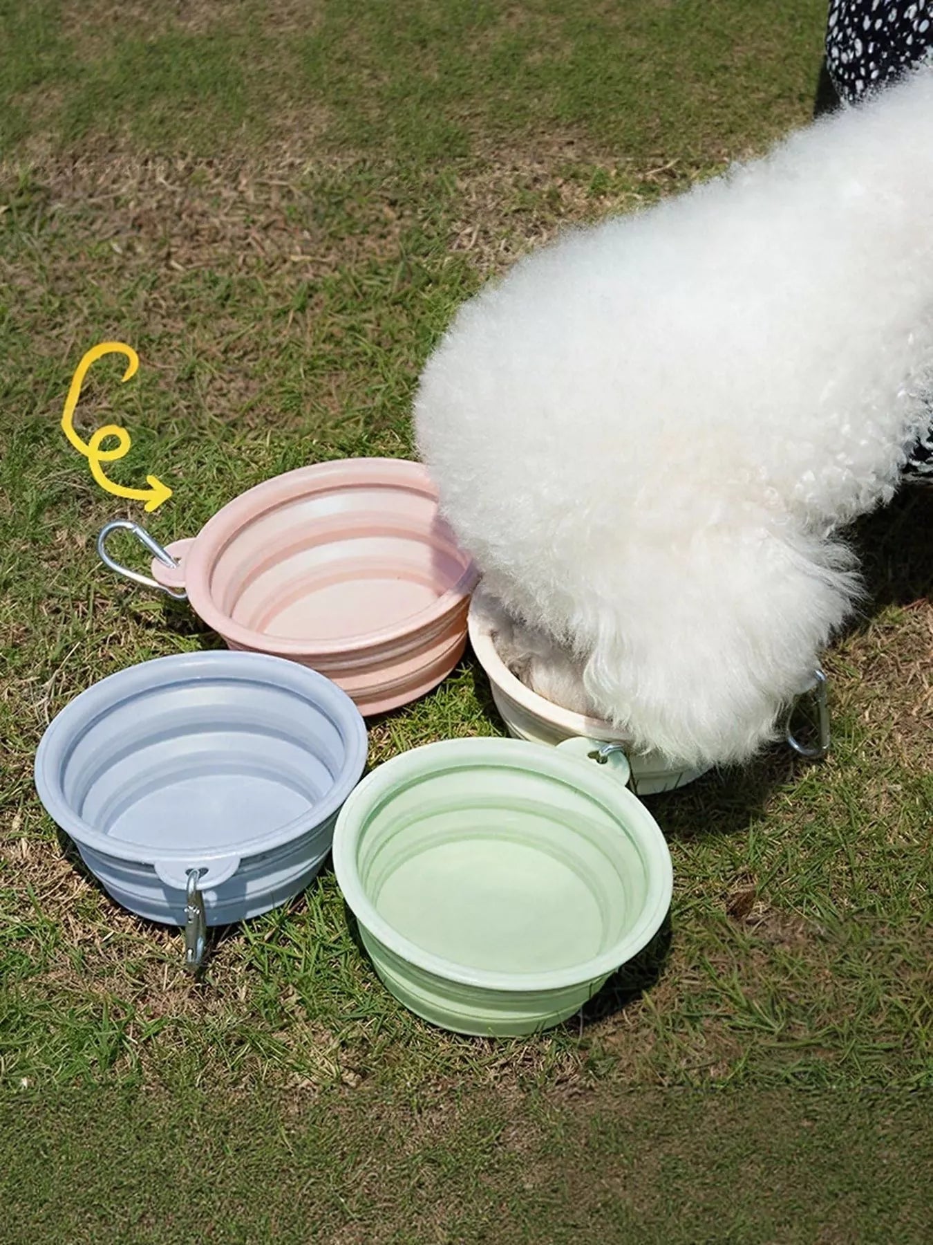 Portable collapsible TPE pet bowl, foldable travel food and water bowl for dogs and cats