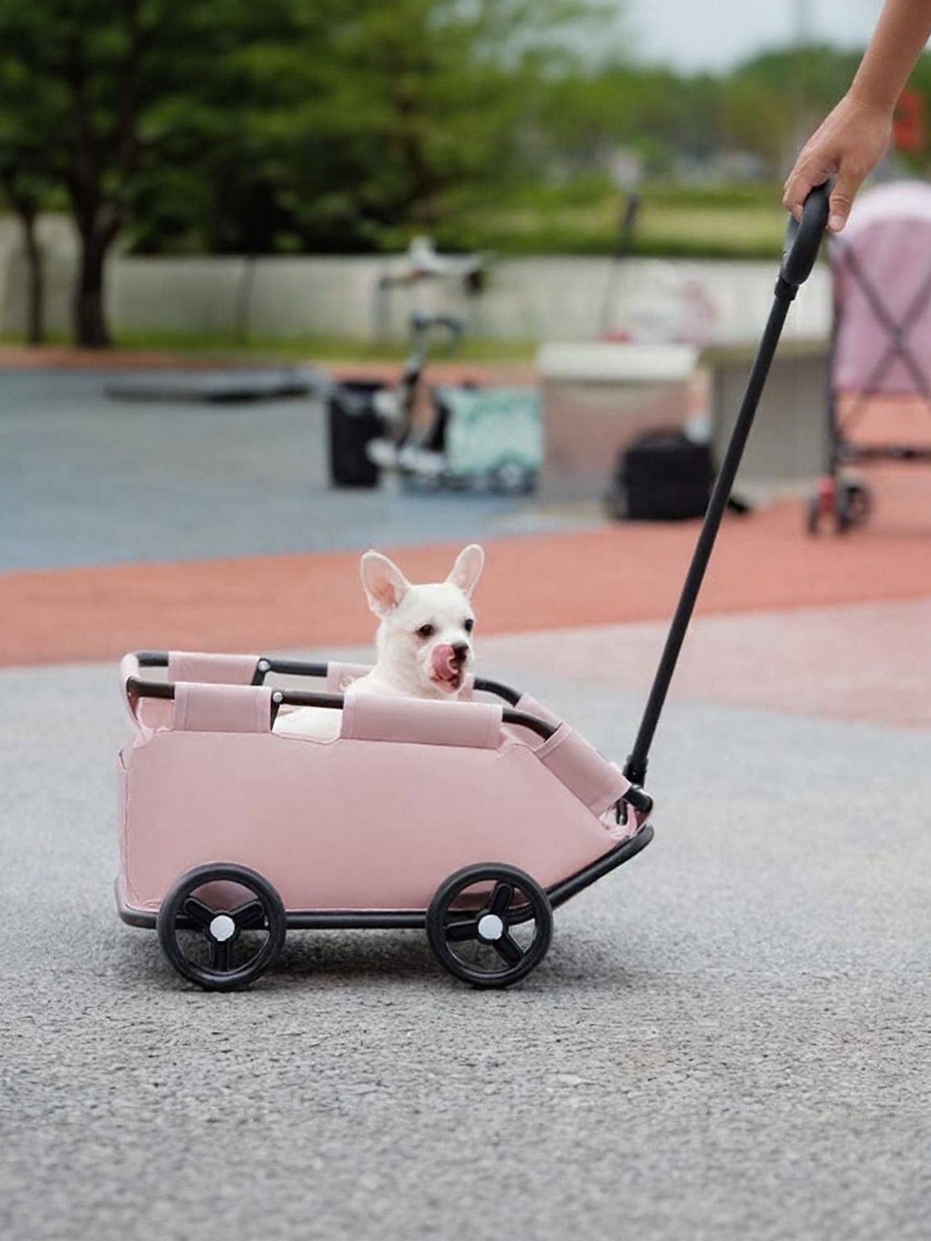 Portable Folding Polyester Pet Stroller Wagon – Medium Travel Stroller for Dogs & Cats – view 3