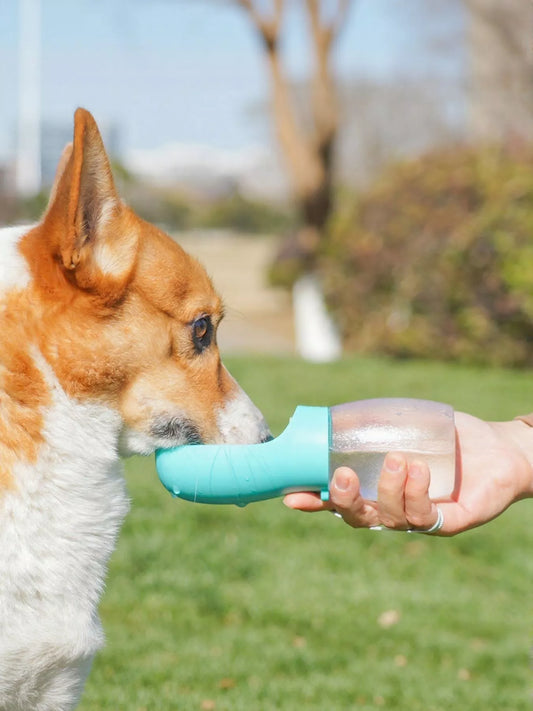 Portable leak-proof pet water bottle with drinking bowl for dogs and cats
