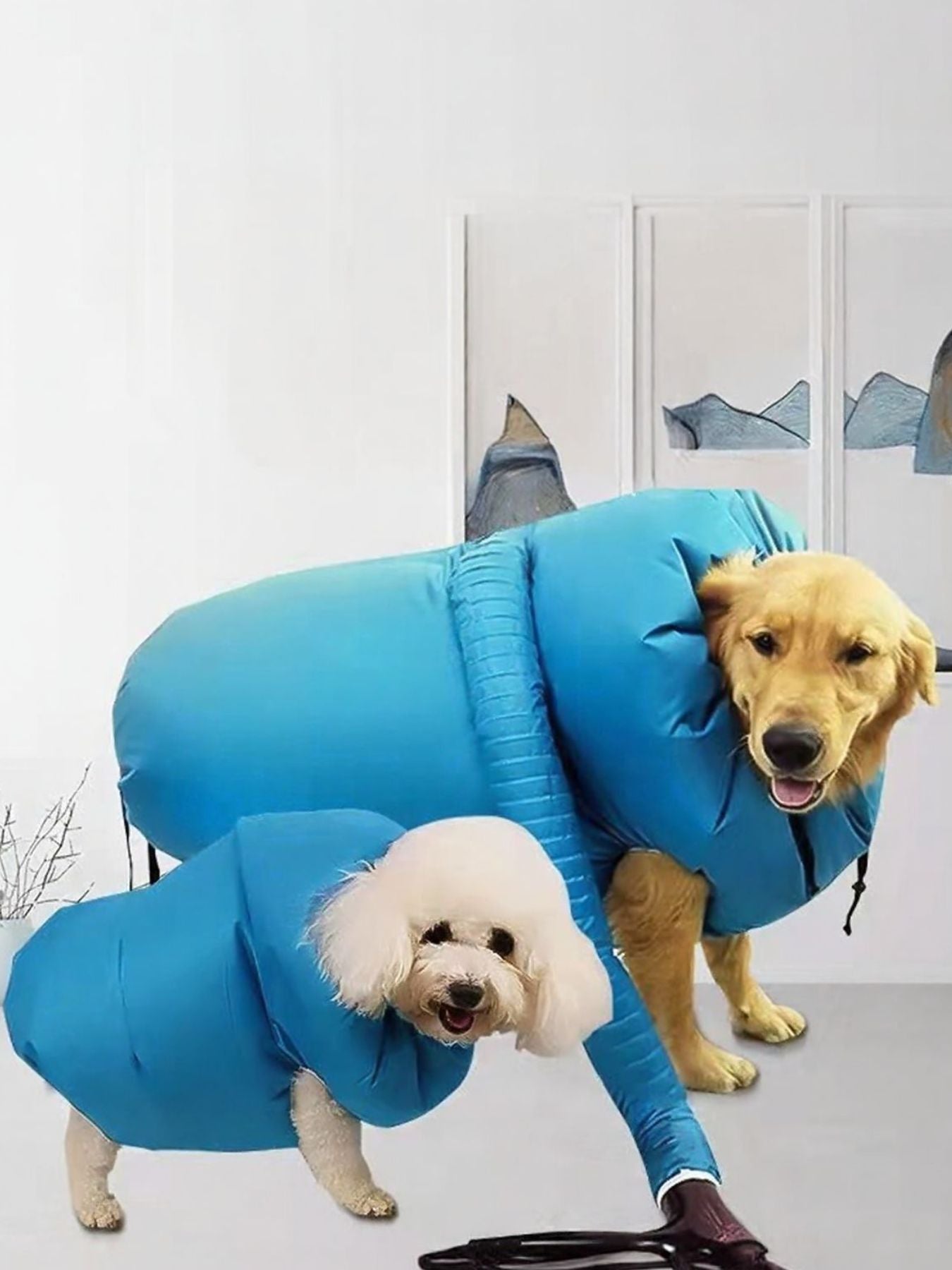 Portable pet quick-dry towel bag for dogs and cats