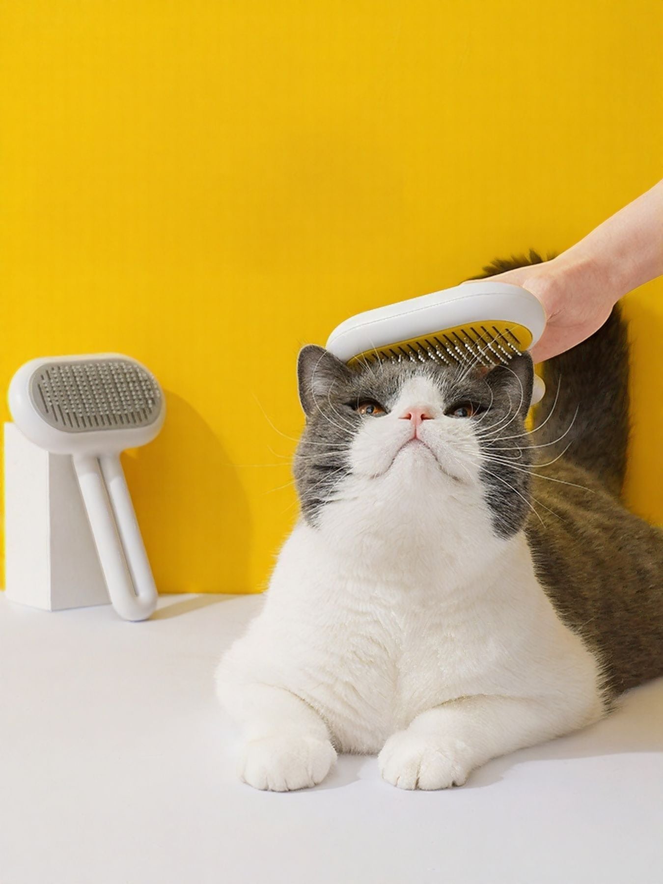 Portable lightweight plastic pet hair remover grooming brush for dogs and cats