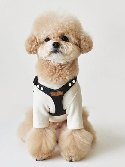Rivet-Decorated PU Leather Dog Harness & Leash Set – Edgy 2-Piece Walking Set – view 11
