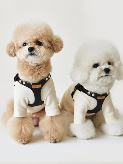 Rivet-Decorated PU Leather Dog Harness & Leash Set – Edgy 2-Piece Walking Set – view 9