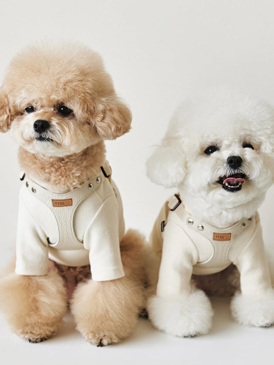 Rivet-decorated PU leather dog harness and leash set, edgy two-piece walking set