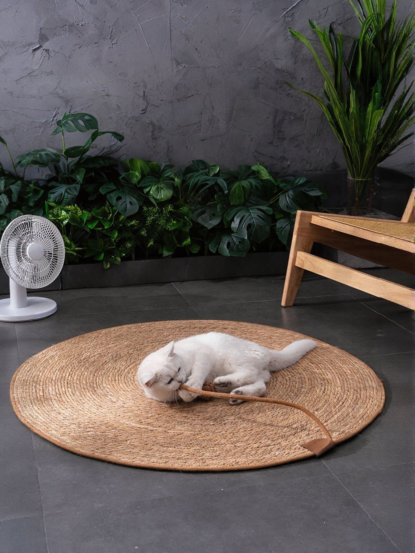 Round Braided Natural Pet Mat – view 2