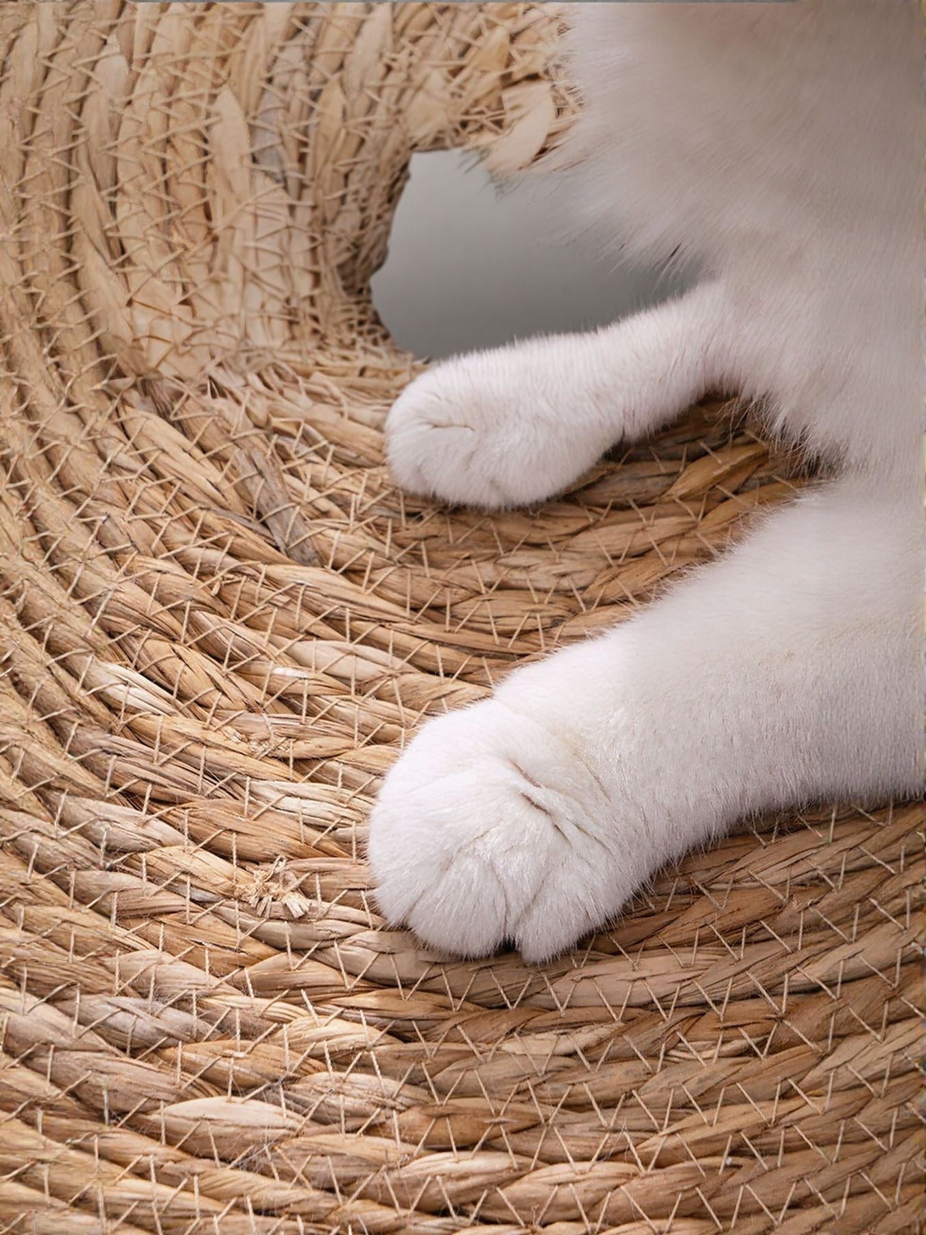 Round Braided Natural Pet Mat – view 5