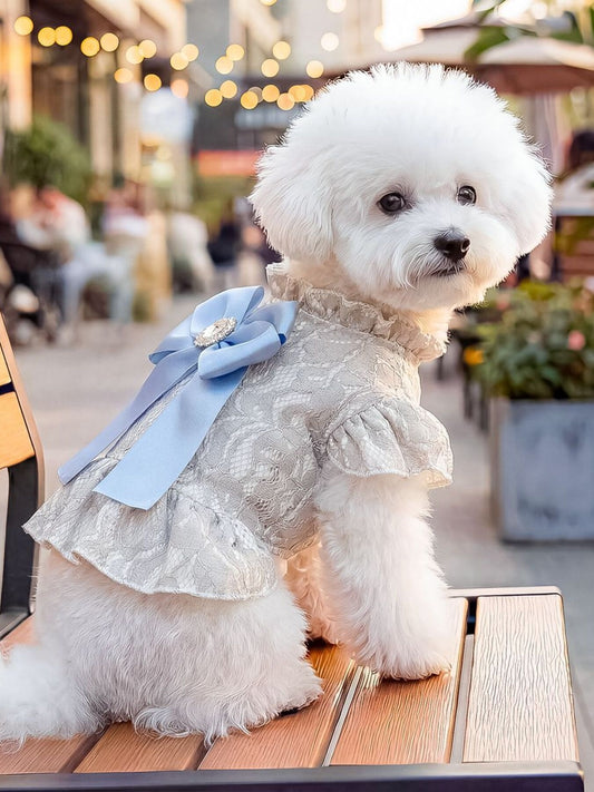 Blue ruffled lace pet party dress with bow, elegant polyester dress for dogs and cats