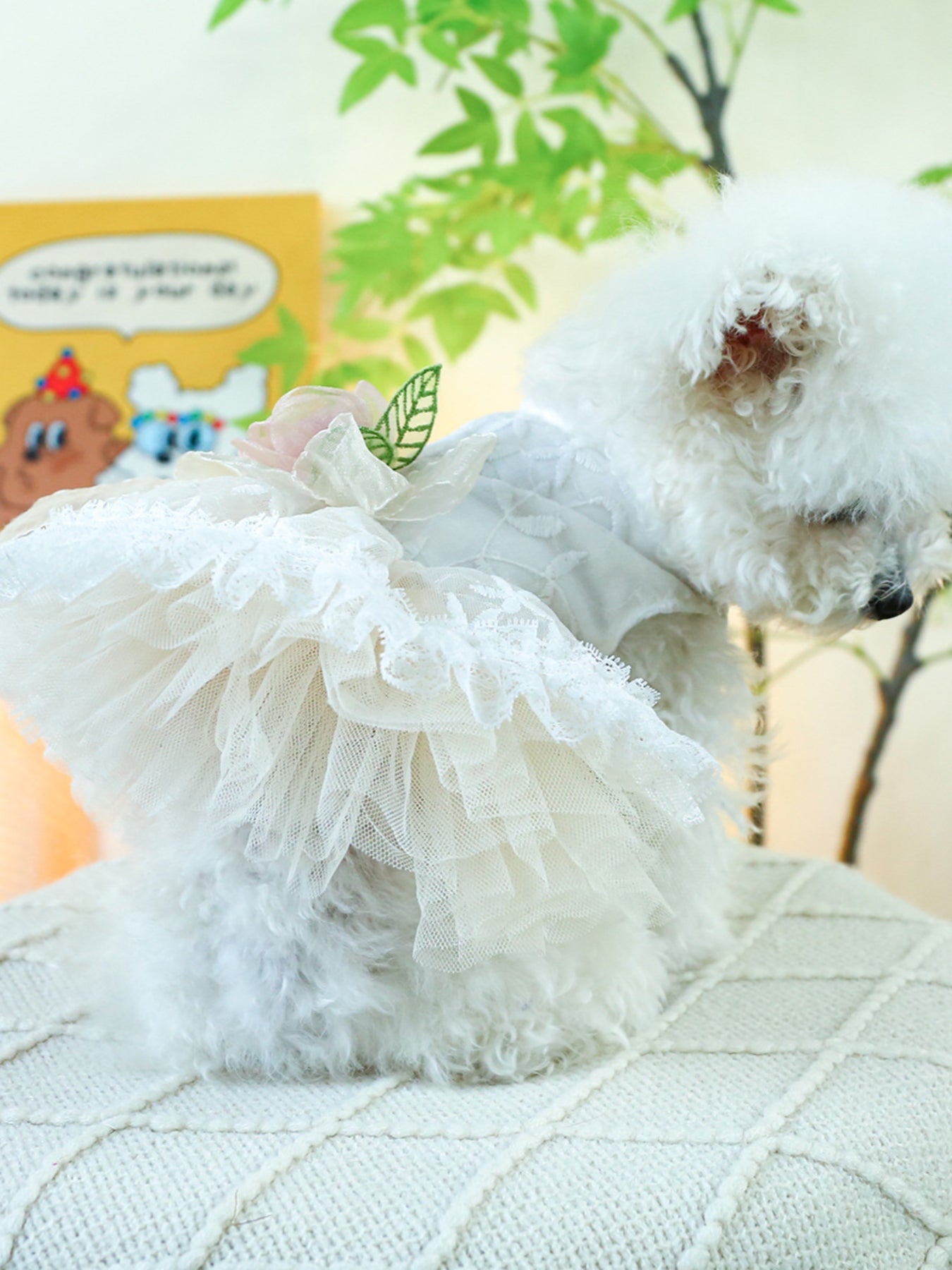Ruffled Lace Pet Dress – Embroidered Bow-Detail Dress for Dogs & Cats – view 10