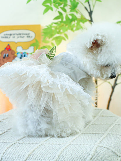 Ruffled Lace Pet Dress – Embroidered Bow-Detail Dress for Dogs & Cats – view 10