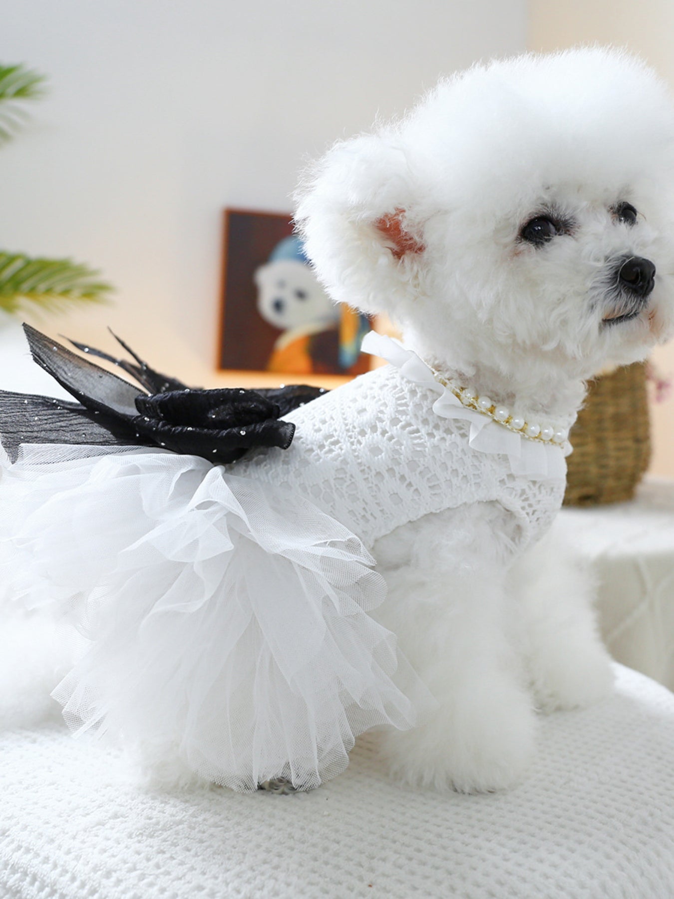 Ruffled Lace Pet Dress – Embroidered Bow-Detail Dress for Dogs & Cats – view 13