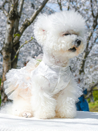 Ruffled Lace Pet Dress – Embroidered Bow-Detail Dress for Dogs & Cats – view 3