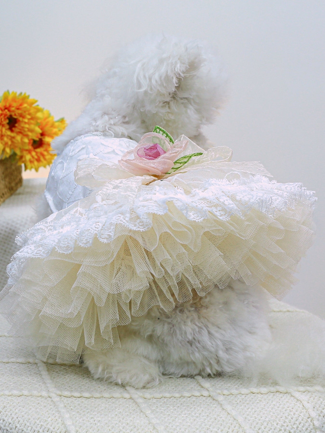 Ruffled Lace Pet Dress – Embroidered Bow-Detail Dress for Dogs & Cats – view 4