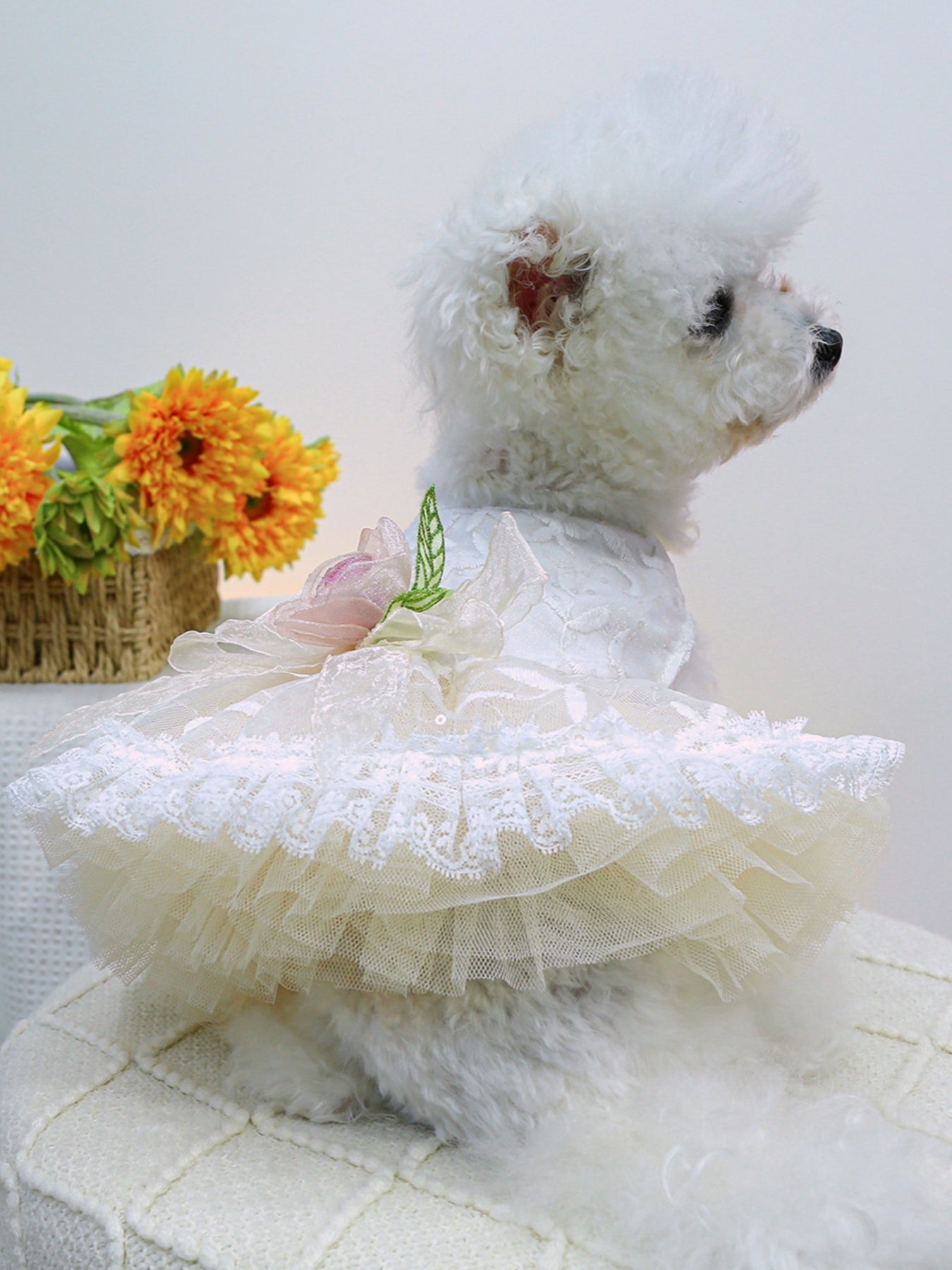 Ruffled Lace Pet Dress – Embroidered Bow-Detail Dress for Dogs & Cats – view 6