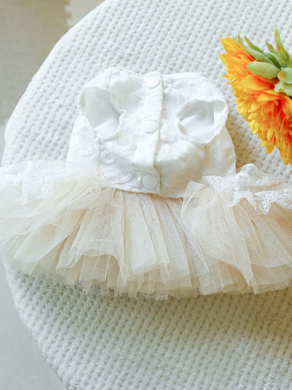 Ruffled Lace Pet Dress – Embroidered Bow-Detail Dress for Dogs & Cats – view 7