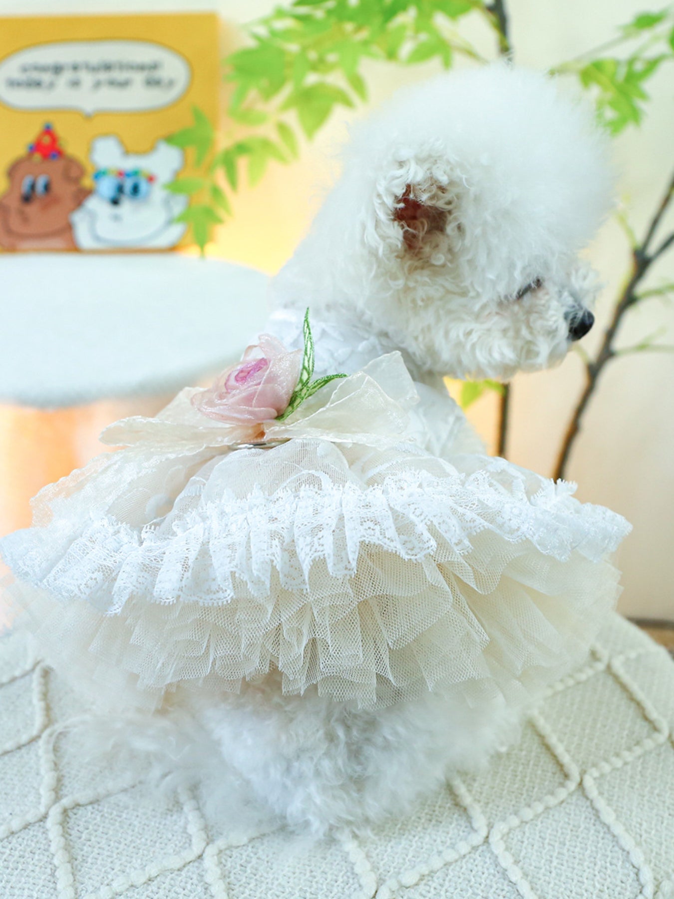 Ruffled Lace Pet Dress – Embroidered Bow-Detail Dress for Dogs & Cats – view 8